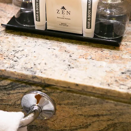 호텔 Sercotel Ciudad De 4*