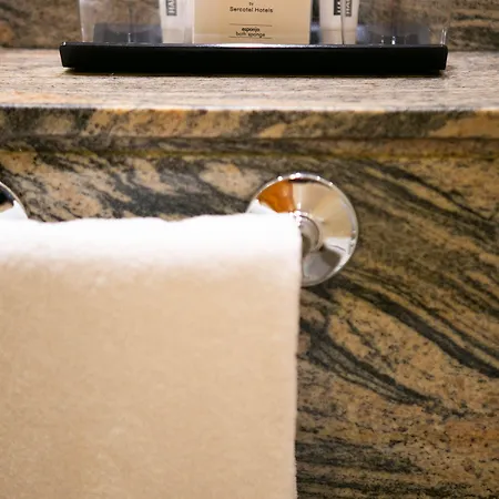 فندق Sercotel Ciudad De